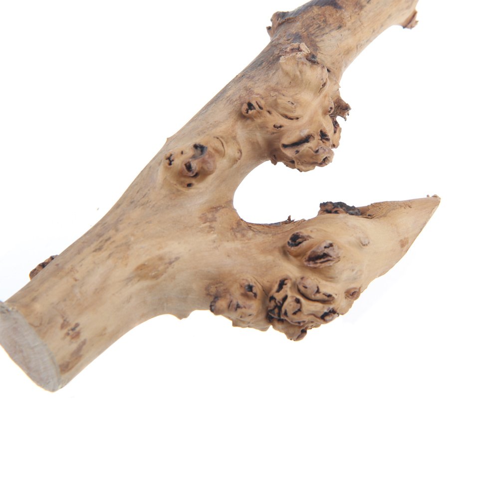 Amazon | 爬虫類水槽流木の装飾林支店テラリウムウッドアクアリウム