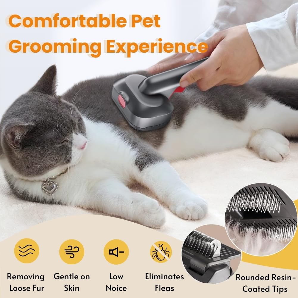 Pet Brushes