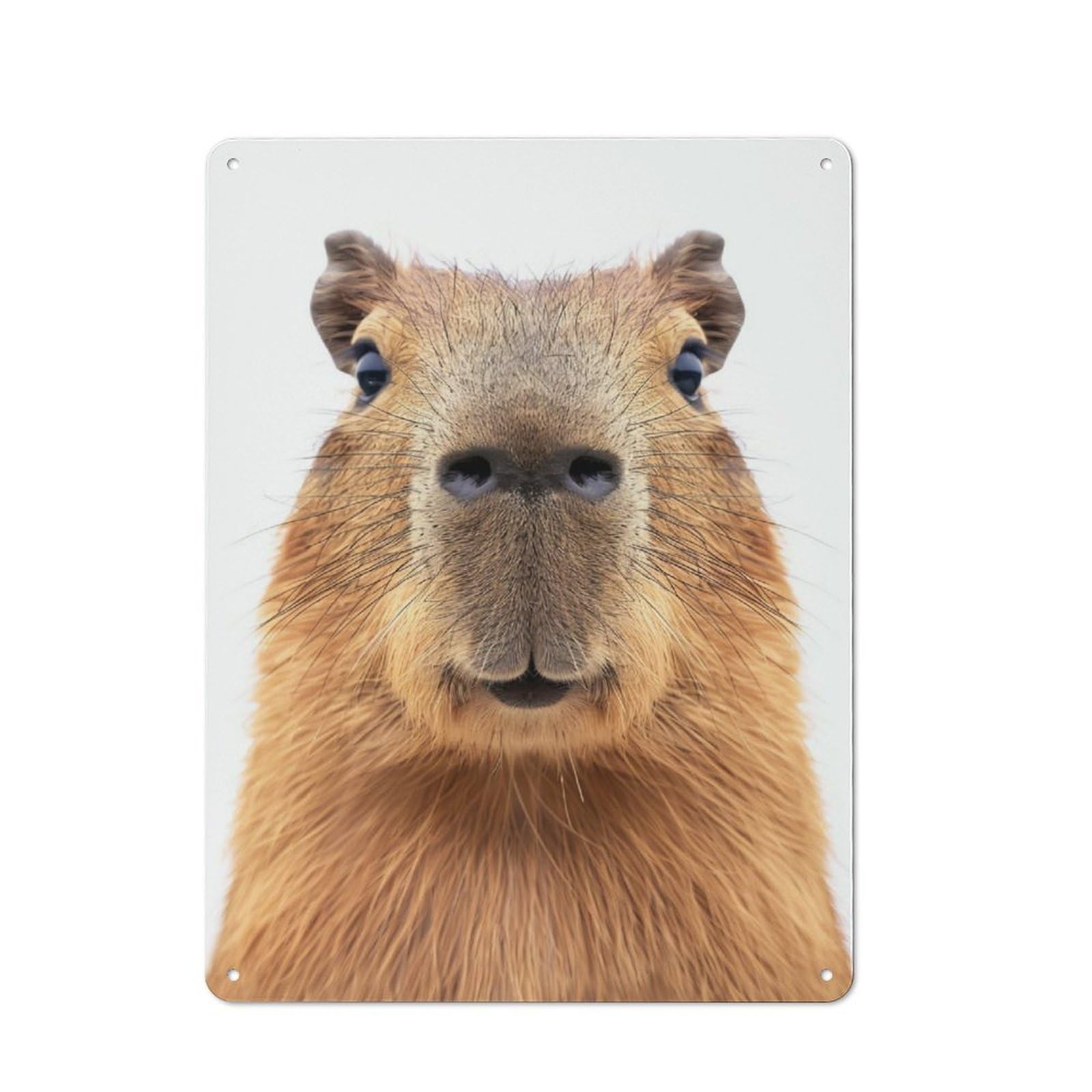 Junmoney Capybara Face Tin Wall Plaque 40X30cm With For Man Cave Or Games Room, A New Home Present For Leisure-Room Decor Enthusiasts