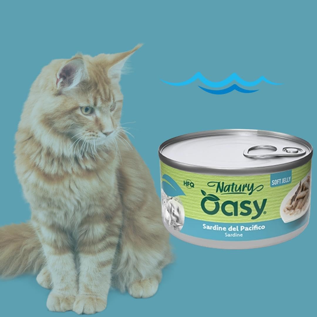 Oasy Natural - Sardinas del Pacífico, suaves pelusas naturales de Soft Jelly para gatos adultos de todos los tamaños y razas | 24 latas de 85 gramos cada una.