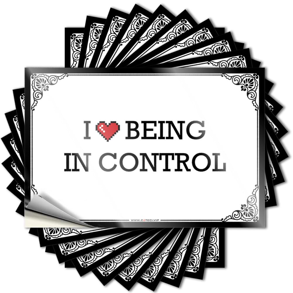 Stuff Humor Lettering Sticker - I Love Being in Control Case Waterproof Vinyl Sticker(6X9CM)