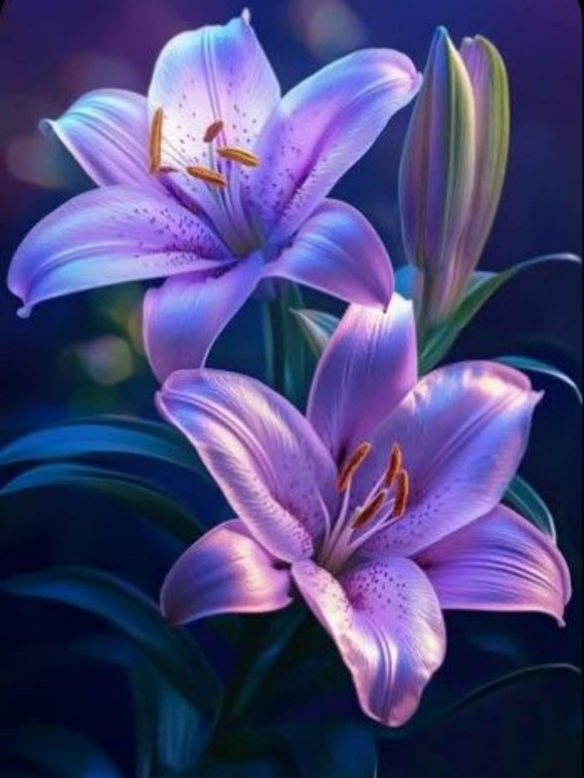 Lilium-Wurzeln — Ein idealer Gartenakzent— Eine seltene — Pflegeleicht — (Kein Kunstprodukt)-8 Wurzeln-G