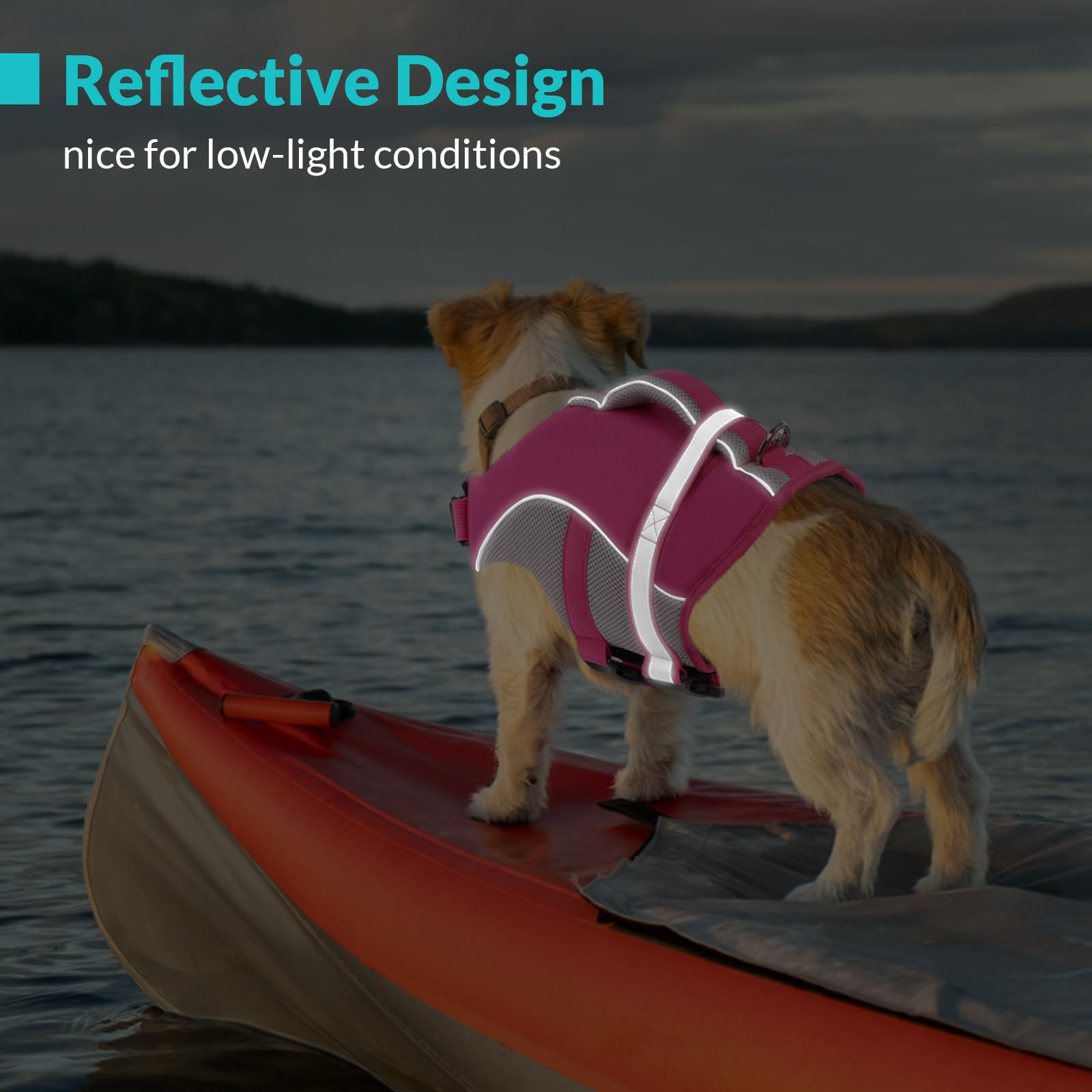 Queenmore Schwimmweste Hund Mittel Leichtes Gewicht Hunde Schwimmweste Mit Rettungsgriff Rettungswesten Für Hunde Für Dackel, Französische Bulldogge,Pug,Jack Russell,Greyhound,Schnauzer, Rosa, M