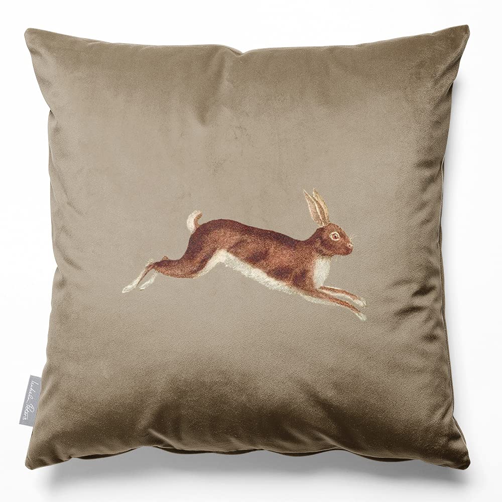 Izabela Peters Hare - Taupe Velvet Cushions - Eco-Friendly, Filled, 50 Cm, Chair & Sofa Cushions
