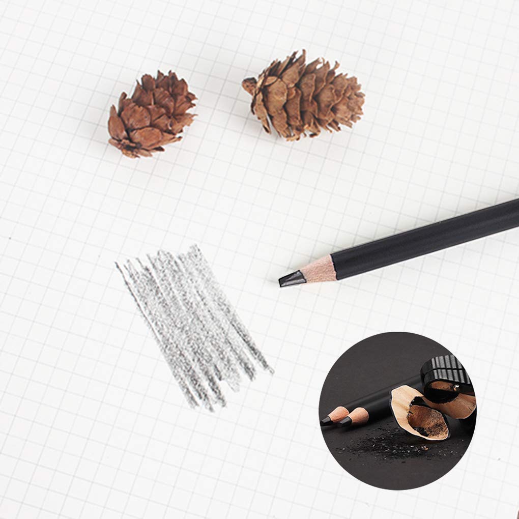 Amazon.co.jp: 14b 鉛筆 12本 黒鉛筆 塗り絵 絵画用 色鉛筆