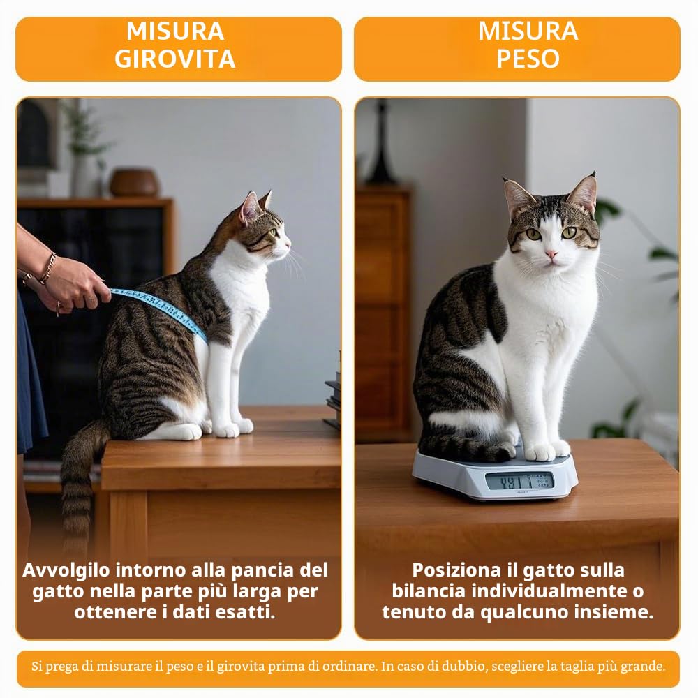 Ycozy XL Porta per Gatti per Porte 27.8 x 25 cm con Chiusura a 4 Vie per Porta Interna Esterna Finestra a Muro, Gattaiola Resistente alle Intemperie per Gattini e Cani Facilmente Installabile