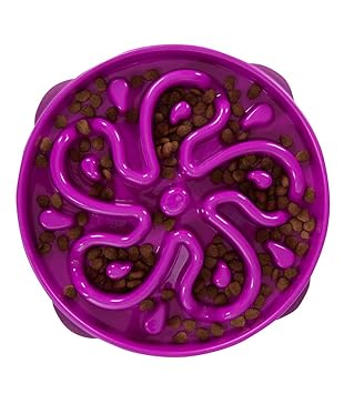 Outward Hound Fun Feeder Slo-Bowl Healthy Slow Feeding Dog Bowl, Large, Purple