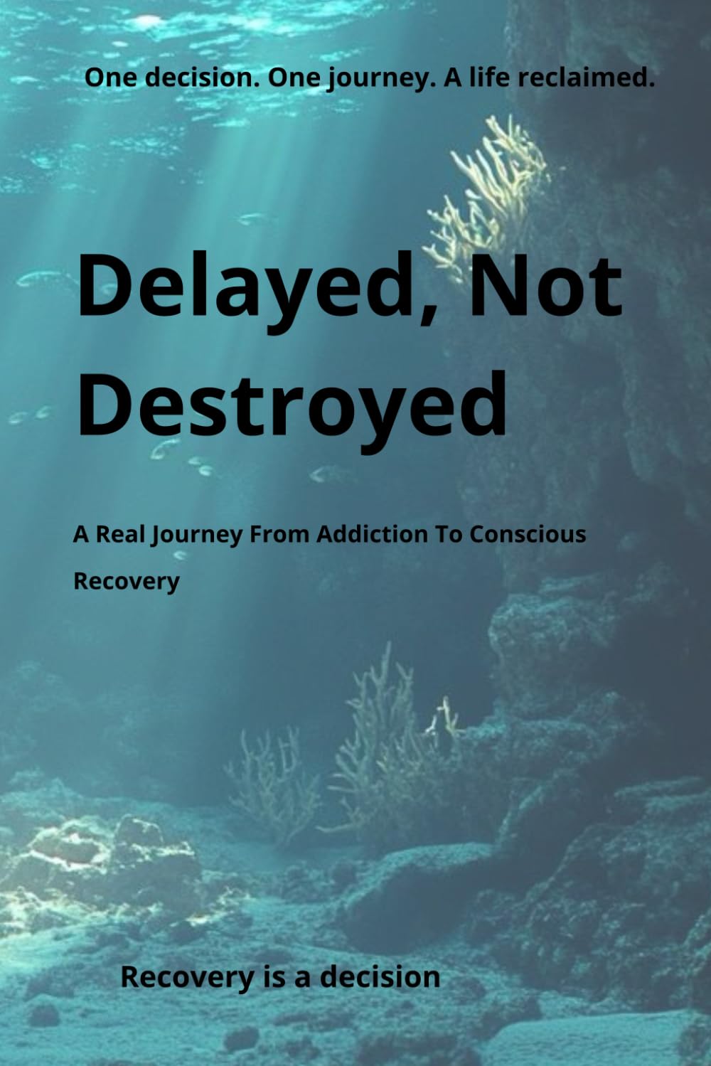 Delayed, Not Destroyed: A Real Journey from Addiction to Conscious Recovery