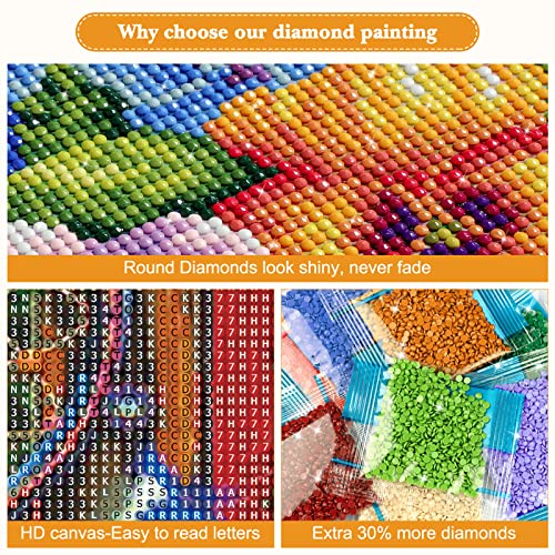 DAERLE DIY Kit Pittura Diamante, 5D Acchiappasogni...