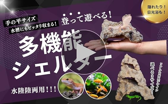 レオパシェルター　９個セット テラシェルターS/ヒョウモン レオパ 爬虫類 トカゲ Vivaria