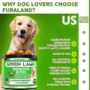 Grass Burn Spot Saver Chews Caused by Dog Pee Lawn- Grass Treatment Rocks – DL-Methionine + Digestive Enzymes – Dog Urine Neutralizer – Soft Treats