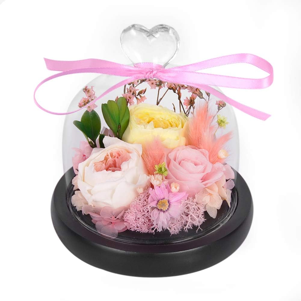 SANRAN Eternal Rose- Preserved Flower Rose Handmade Fresh Flower Rose with Beautiful Creative Heart Design Gift for Valentine's Day Mother's Day Christmas Anniversary Birthday Thanksgiving