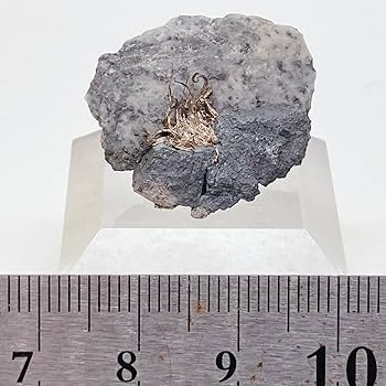 Amazon.co.jp: 銀 ひげ銀 シルバー 原石 鉱物標本 159 : おもちゃ