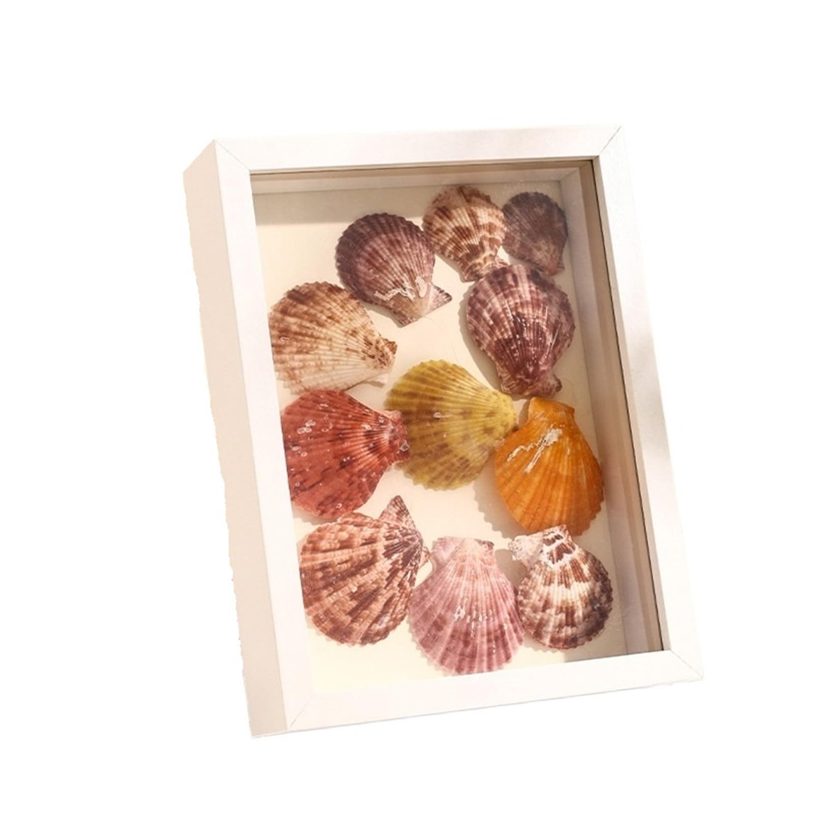 2PCS Shadow Box Frame Depth 5CM 3D Hollow Photo Dried Flower Specimen Holder DIY Handwork Display Wood for Tabletop and Wall(Color 1,Rectangle-A4)