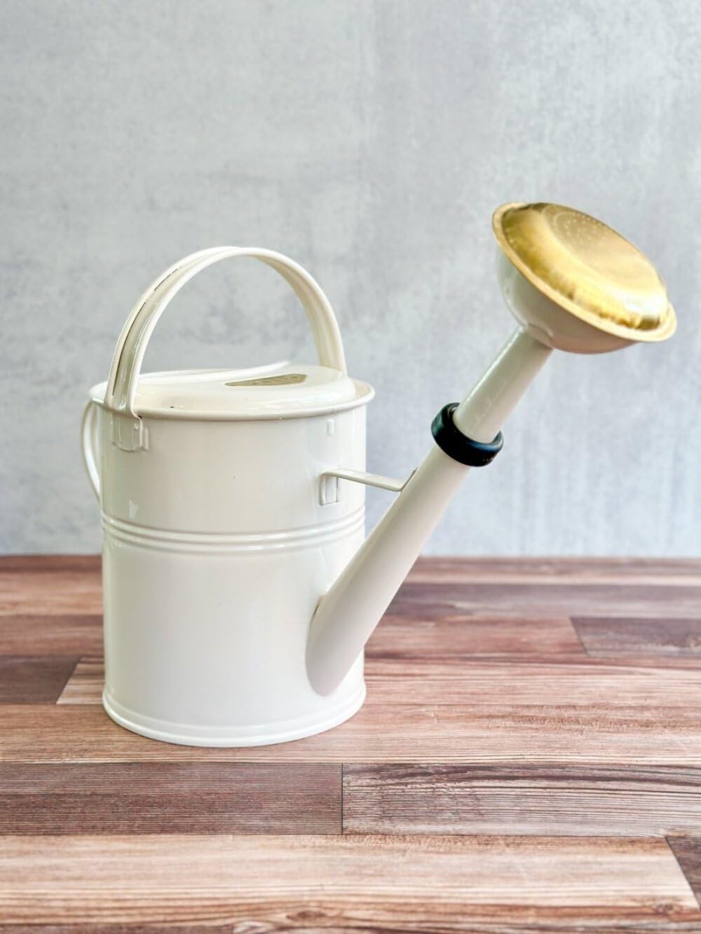 PLINT 5L Watering Can - Modern Style Watering Pot for Indoor and Outdoor House Plants - Coloured Galvanised Powder Coated Steel - Metal Design With Narrow Spout And High Handle -Winter white