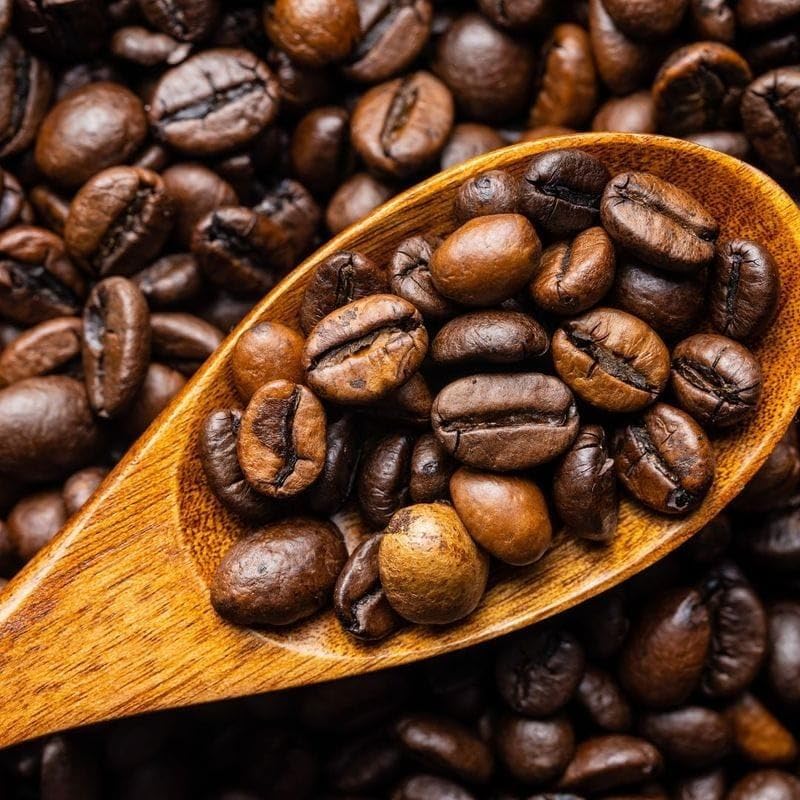 Fakhri Japanese Coffee Beans 1Kg | Medium Roast | Smooth Eastern Blend with Rich Arabic-Inspired Taste & Aroma