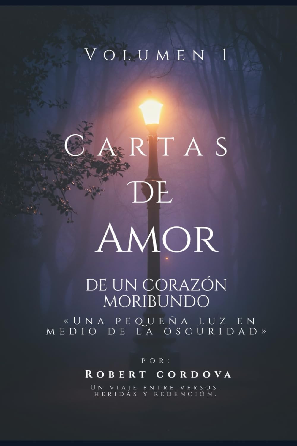 Cartas de amor de un corazón moribundo
