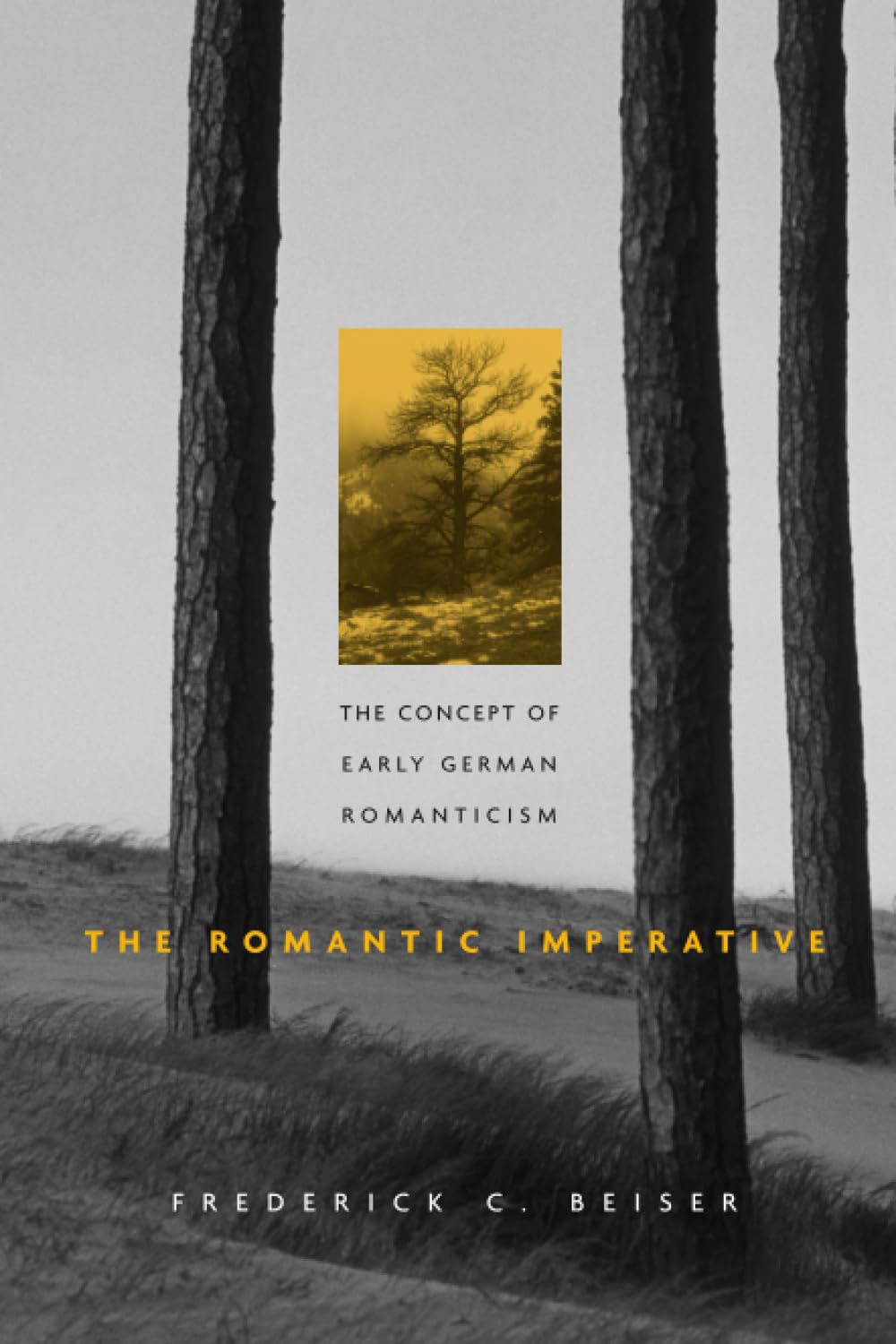 The Romantic Imperative: The Concept of Early German Romanticism