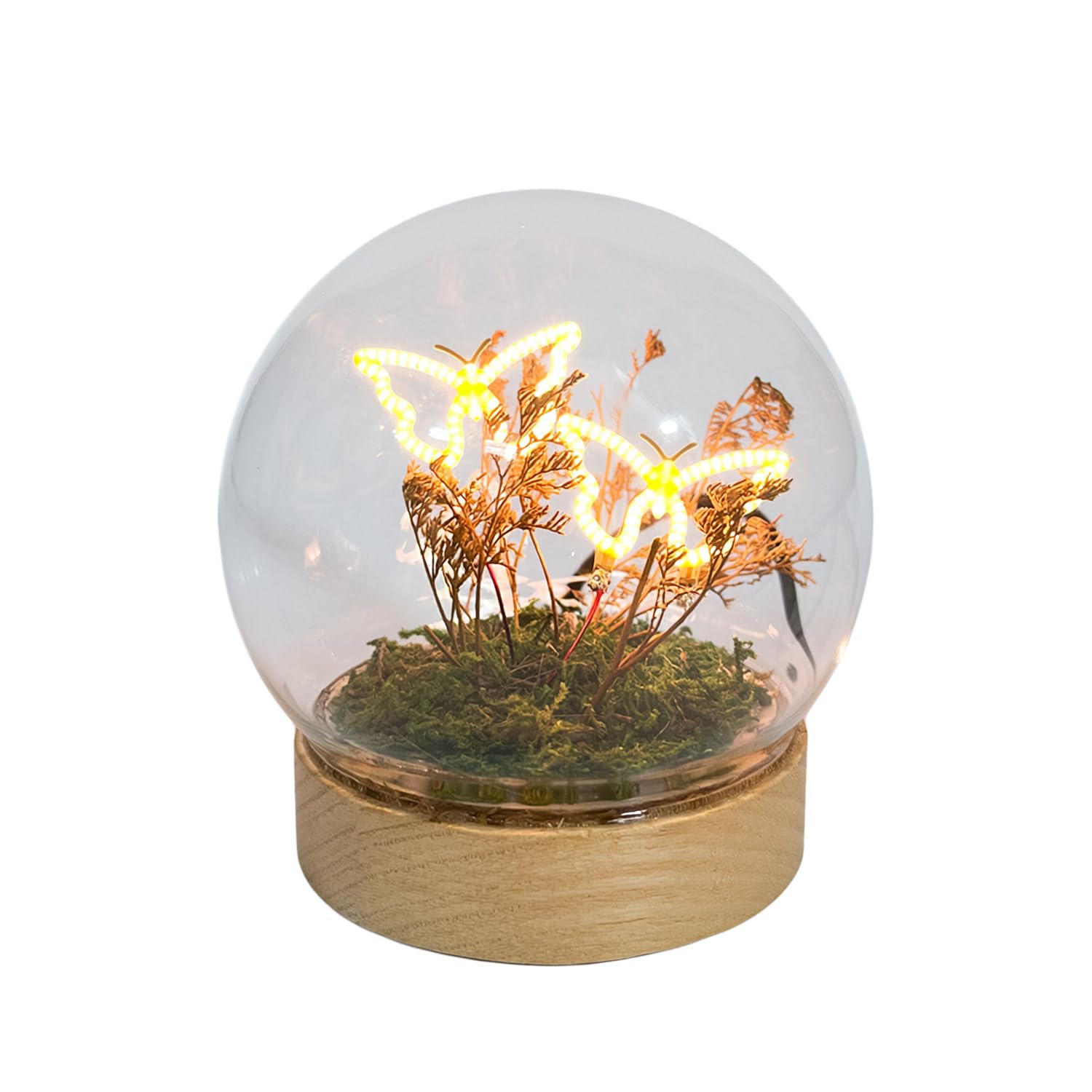 Gleneagles Butterfly LED Glass Lamp – Decorative Night Light in Glass Dome, USB Powered Table Lamp with Single, Double or Trio Butterflies Soft Warm Glow for Bedroom, Desk, or Living Room (Double)