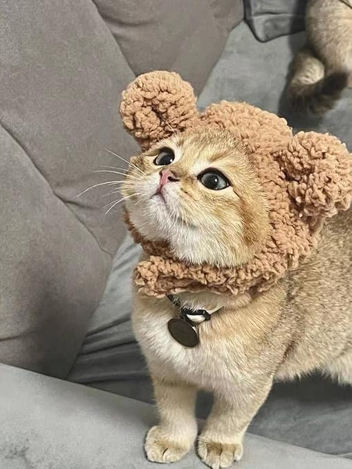 猫 帽子 くま クマ 可愛い コスチューム かぶりもの ペット帽子 着脱簡単 熊型 マジックテープ付き 被り物
