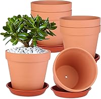 Tuqaumu 6 Pack 6 Inch Terracotta Clay Pots with Saucers & Drainage Mesh - Durable for Succulents, Herbs, Indoor Outdoor Plants & Crafts