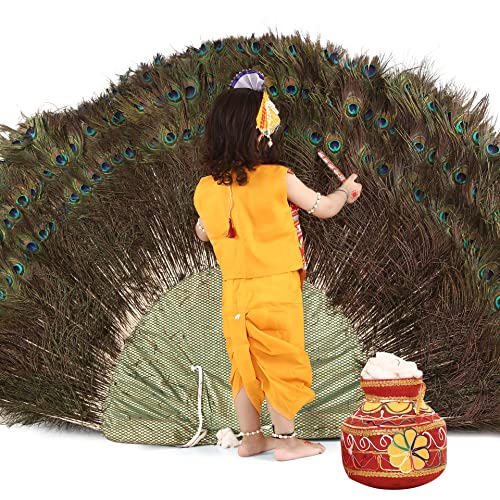 Image of Raj Fancy Dresses Radha and Krishna Brocade Fabric Janmashtami Mythological Character Costume