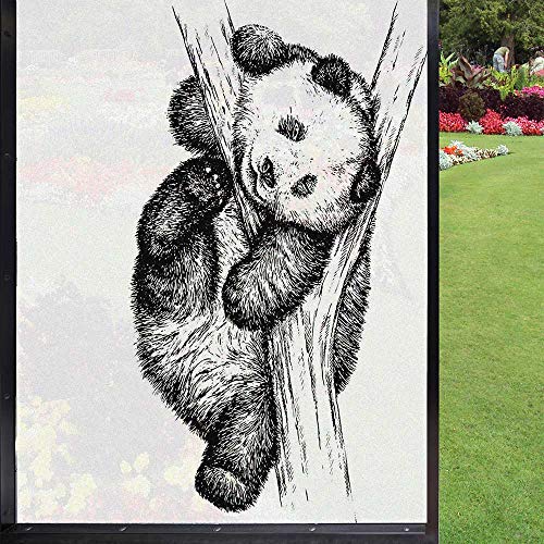 Animal Frosted Window Film Frosted Glass Film,Little Panda Bear On Tree Branch Fury Tropical Jungle Zoo Sketchy Print Glass Flower Window Privacy Film Removable,Black And White 24" X 36" #TOP16
