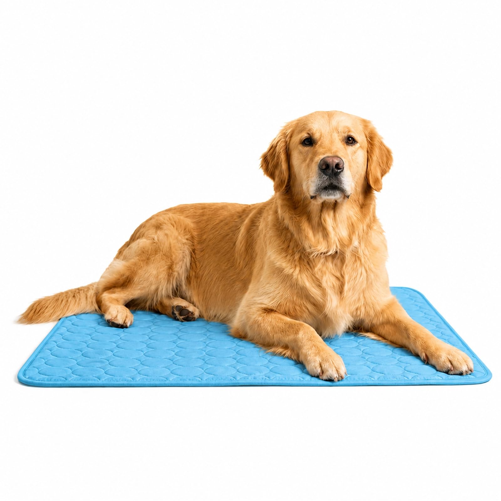 Coolnap tappetino per cani rinfrescante gel auto-raffreddante estivo (Blu, 2XL - 150x100cm)