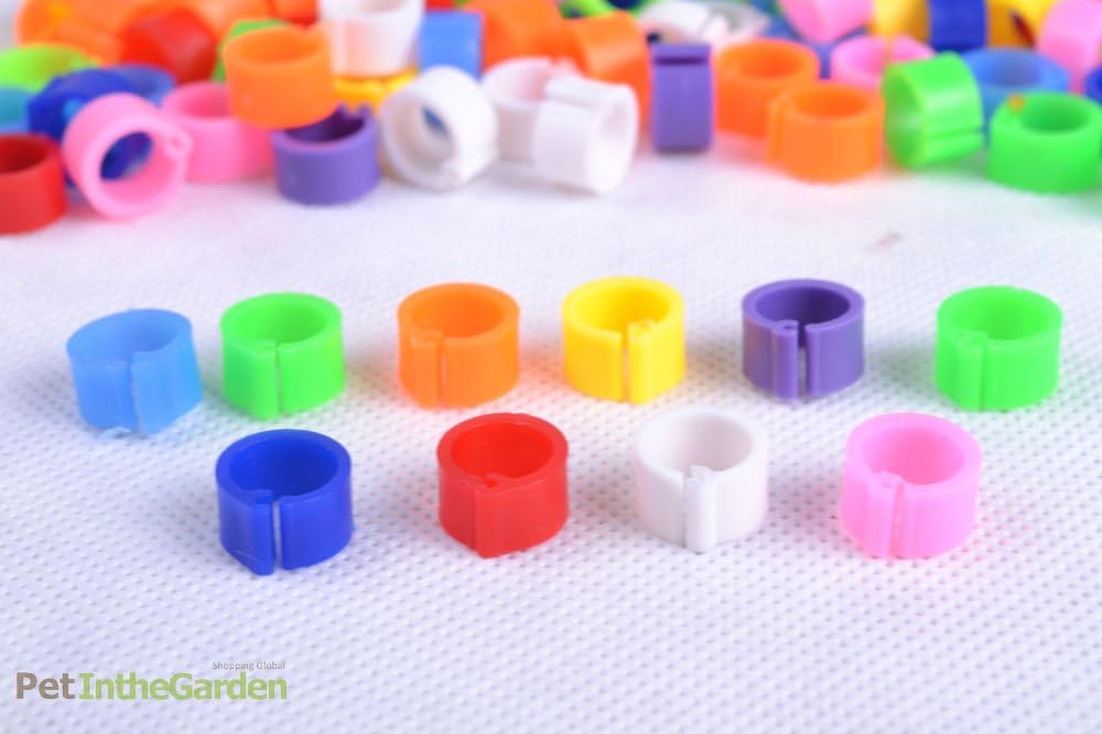 100 Bird Leg Bands 8mm Pigeon Chicken Parrot Bantam Poultry Rings 10 Colors