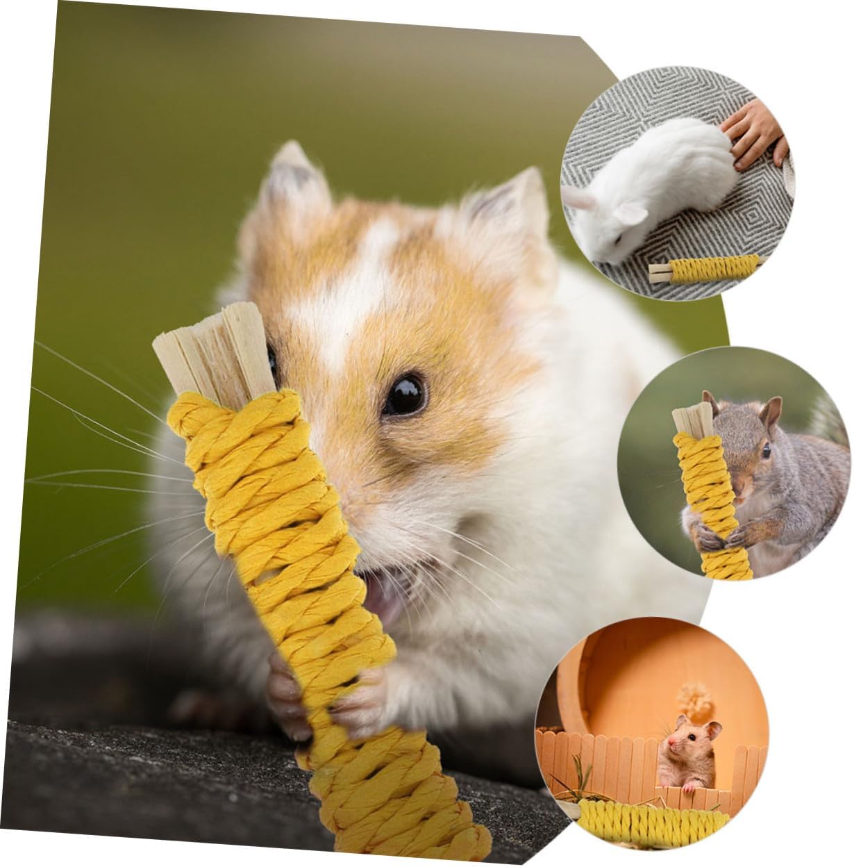 POPETPOP 20pcs Small Animal Chew Molar Sticks Natural Rods for Hamsters Rabbits Guinea Pigs Pet Teething Chew Treats for Dental Health and Cage Use