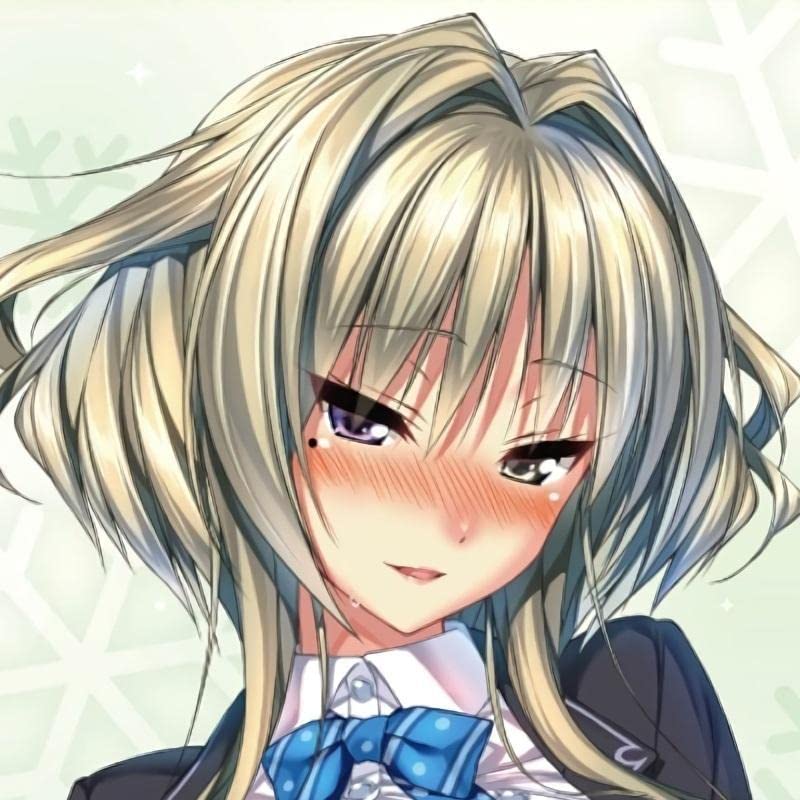 上林聖 特大タペストリー アマカノ あざらしライブ