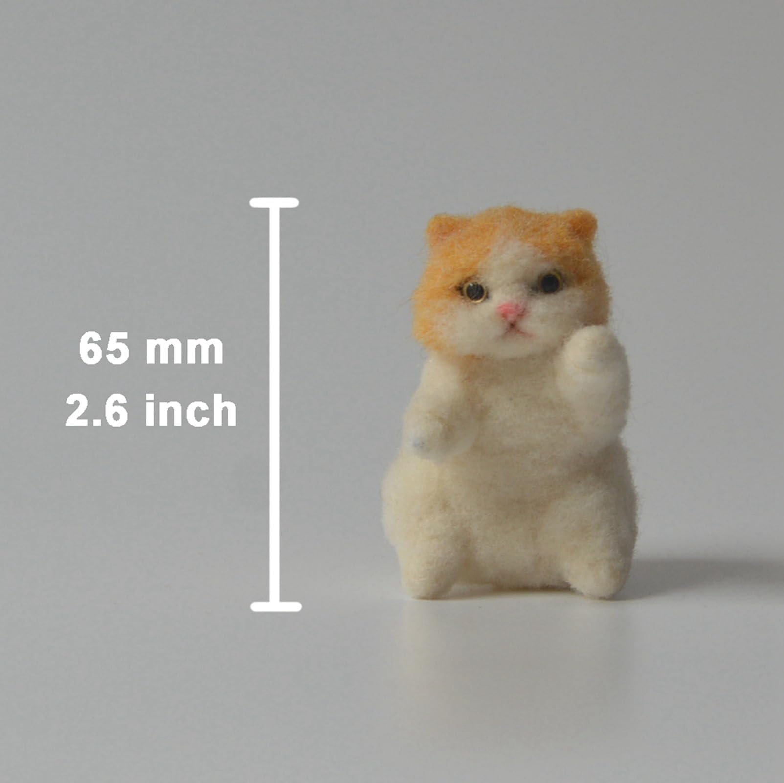Feltsky British Shorthair Needle Felting Kit for Beginners Easy Steps to Make with Everything, Christmas for Mom, Grandma, Kids