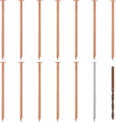 Miniatura 7 de 12 clavos de cobre para matar árboles, tocones y raíces, 3.5 pulgadas de largo, vienen con clavos de acero que permiten que los clavos de cobre