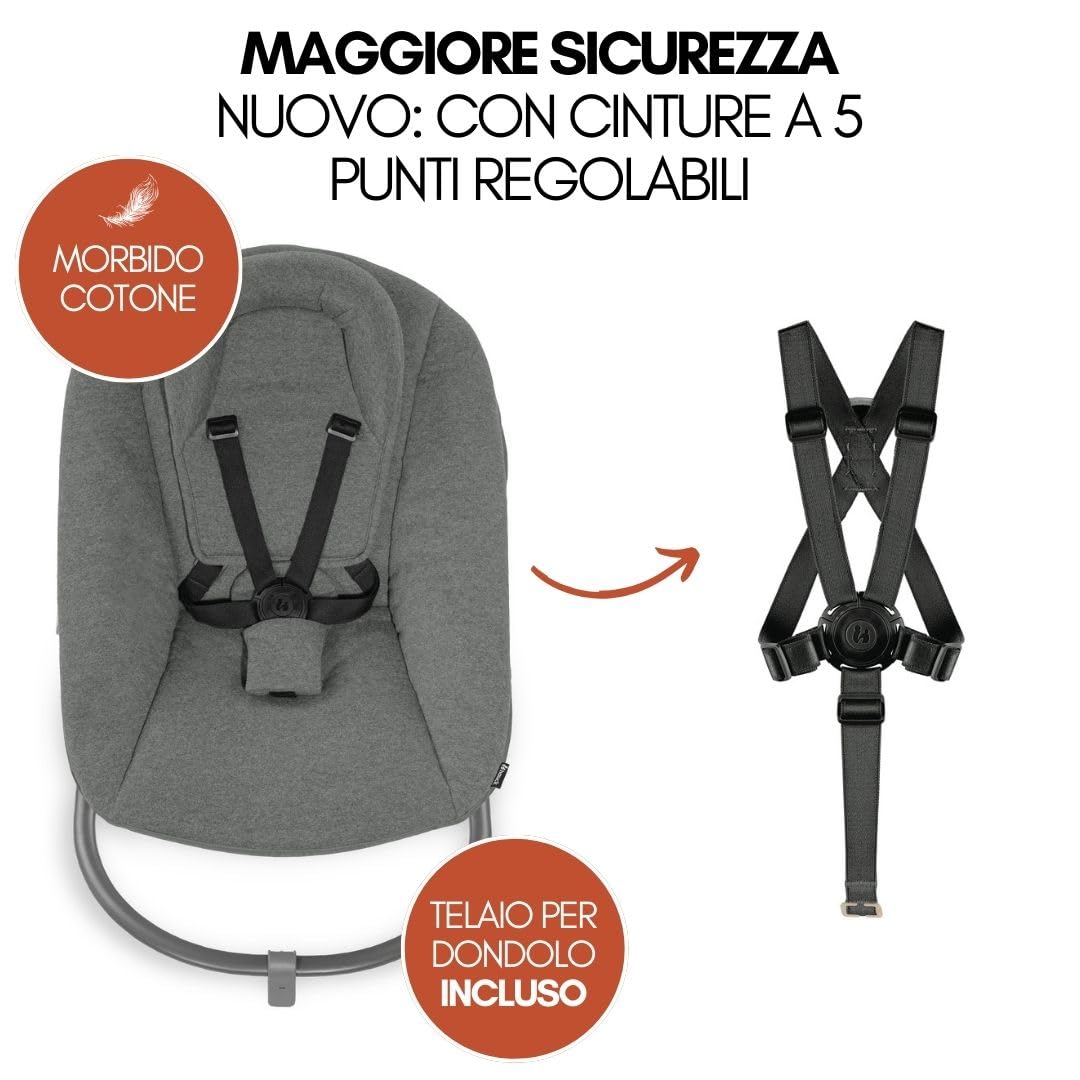 hauck Seggiolone Beta+ Newborn Set Premium da 0 Mesi - Seggiolone Legno Evolutivo, con Sdraietta Neonati (Dondolo Neonati), Cuscino Seduta, Vassoio - Grigio Scuro