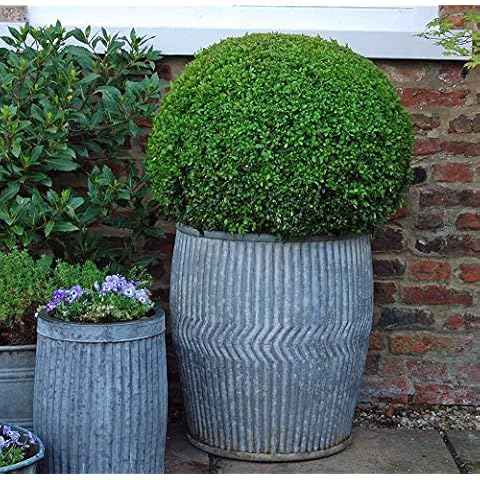 Bluebell Yard Traditional galvanised metal dolly tub garden planter container Cover
