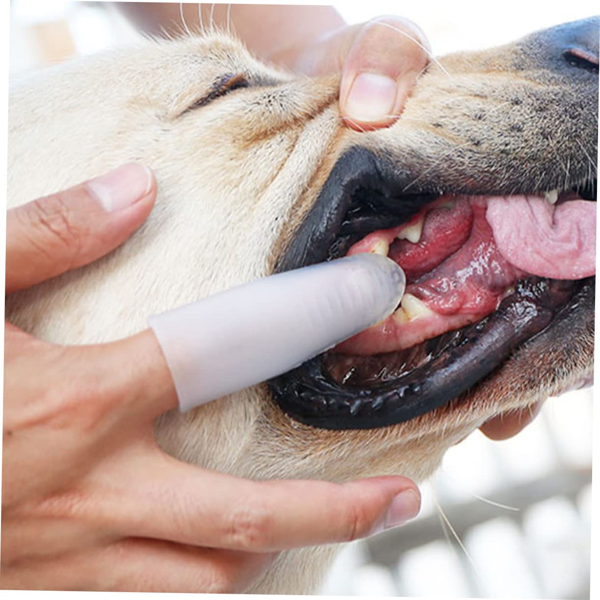 POPETPOP Lot De 4 Brosses À Dents Pour Animaux De Compagnie Outil De Nettoyage Des Dents De Chien Brosse À Dents En Silicone Pour Chien Fabrication Soignée Matériau Sûr