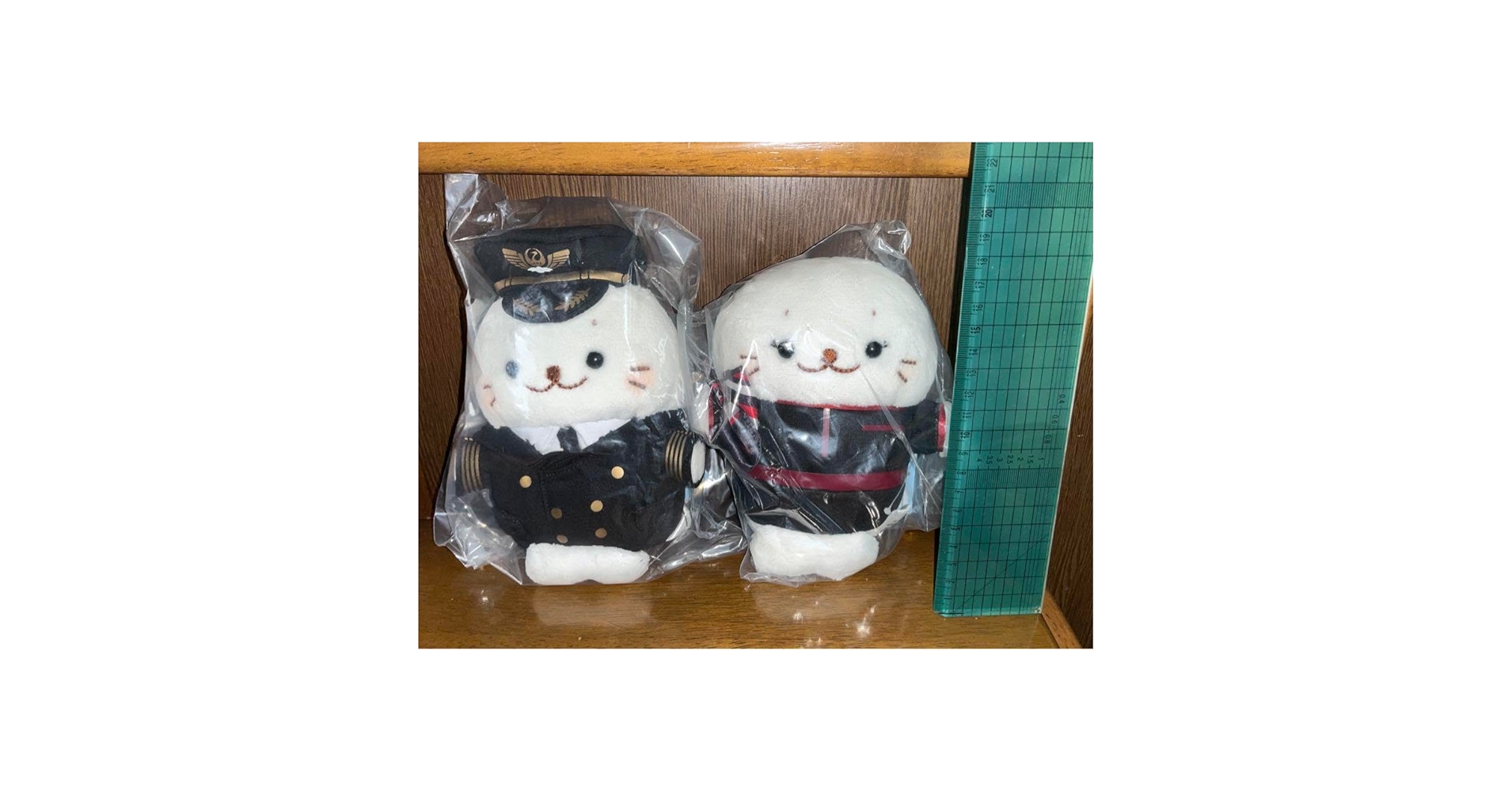 JAL しろたん ぬいぐるみセット 61XvBNsdFjL._AC_SY200_QL15_.jpg