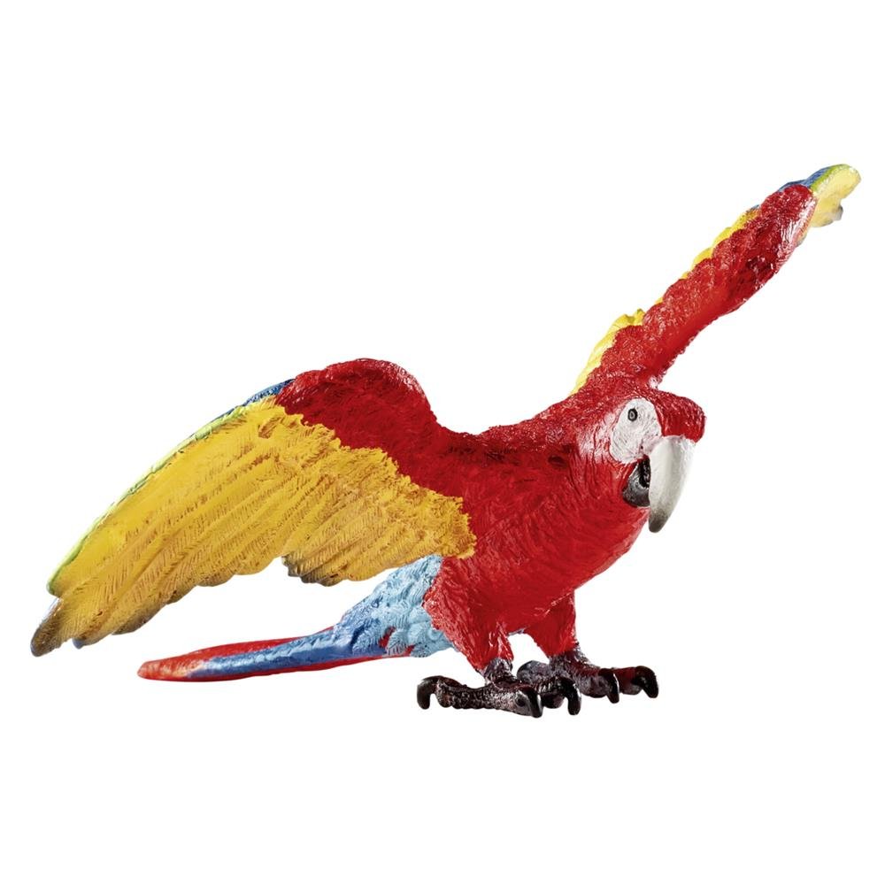 Macaw