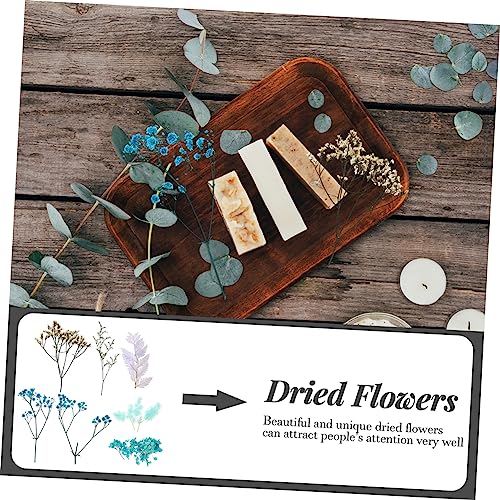 1 set flores secas para manualidades y decoración miniatura 3