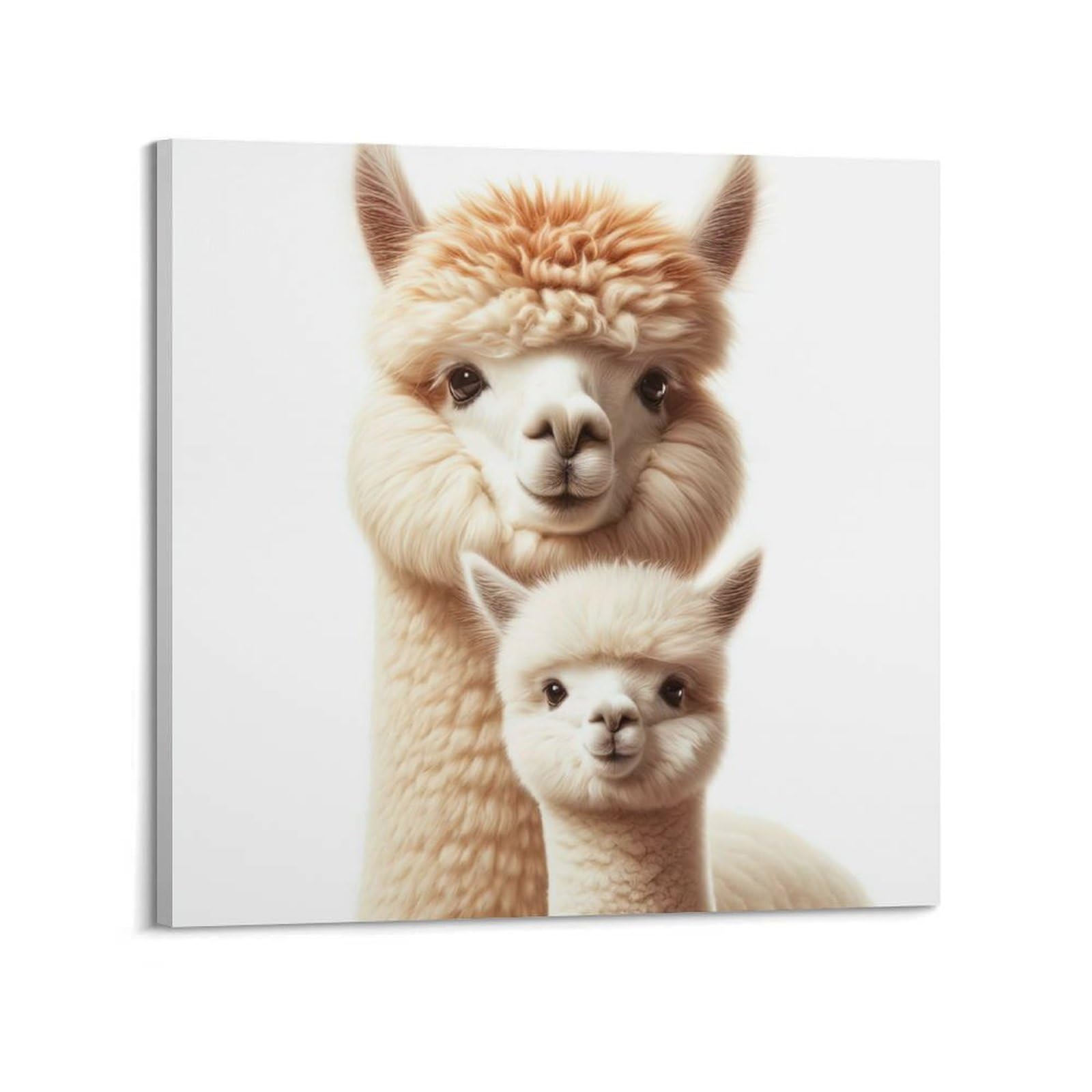 WZKTCL Animal Poster Huacaya Alpaca Poster Decorative Painting Canvas Wall Posters And Art Picture Print Modern Family Bedroom Decor Posters 20x20inch(50x50cm)