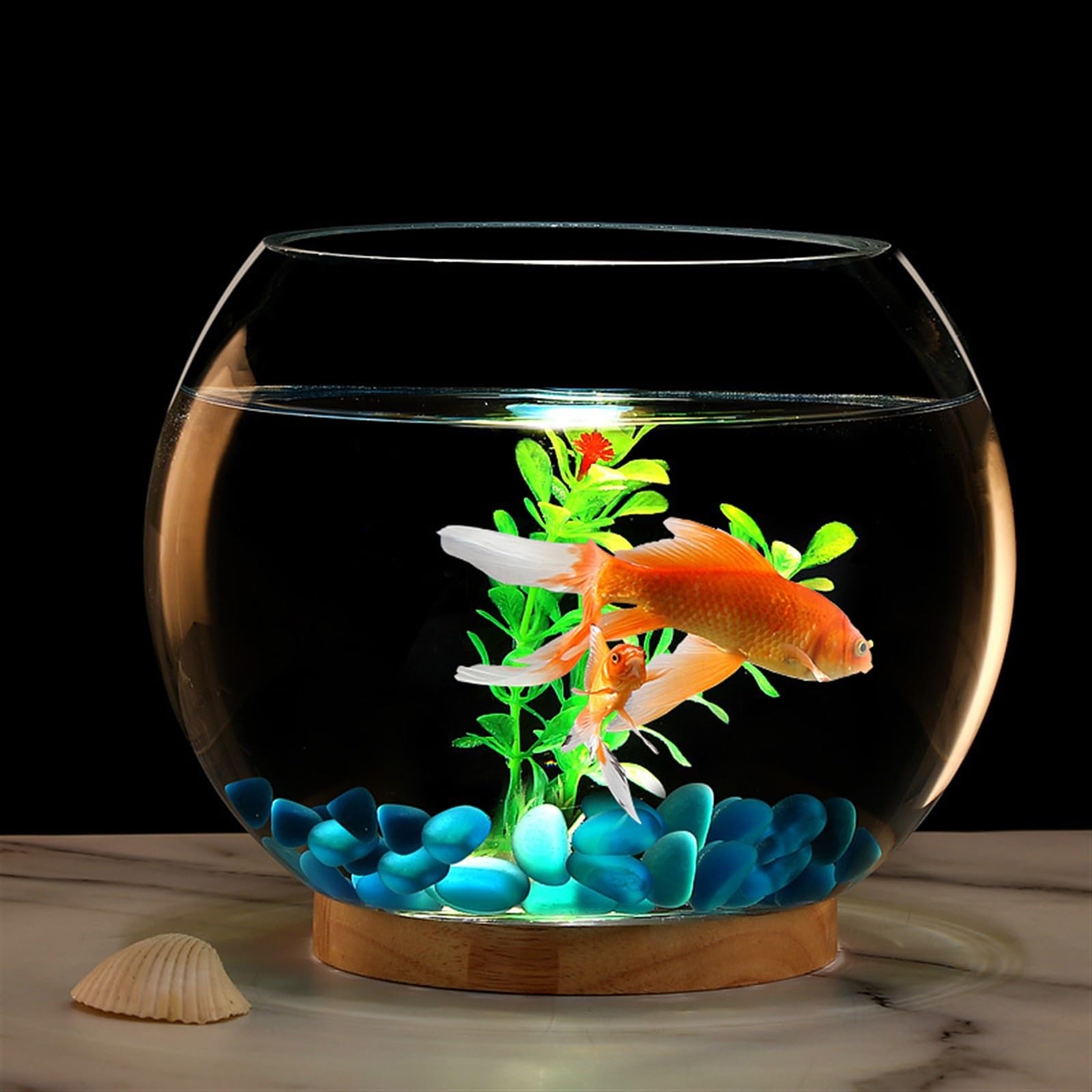 Terrarium Verdicktes transparentes Glas Aquarium Desktop Runde Goldfisch Aquarium Wohnzimmer Desktop Dekorative Aquarium Ornamente Insekten Schildkröten(25cmx20cm)
