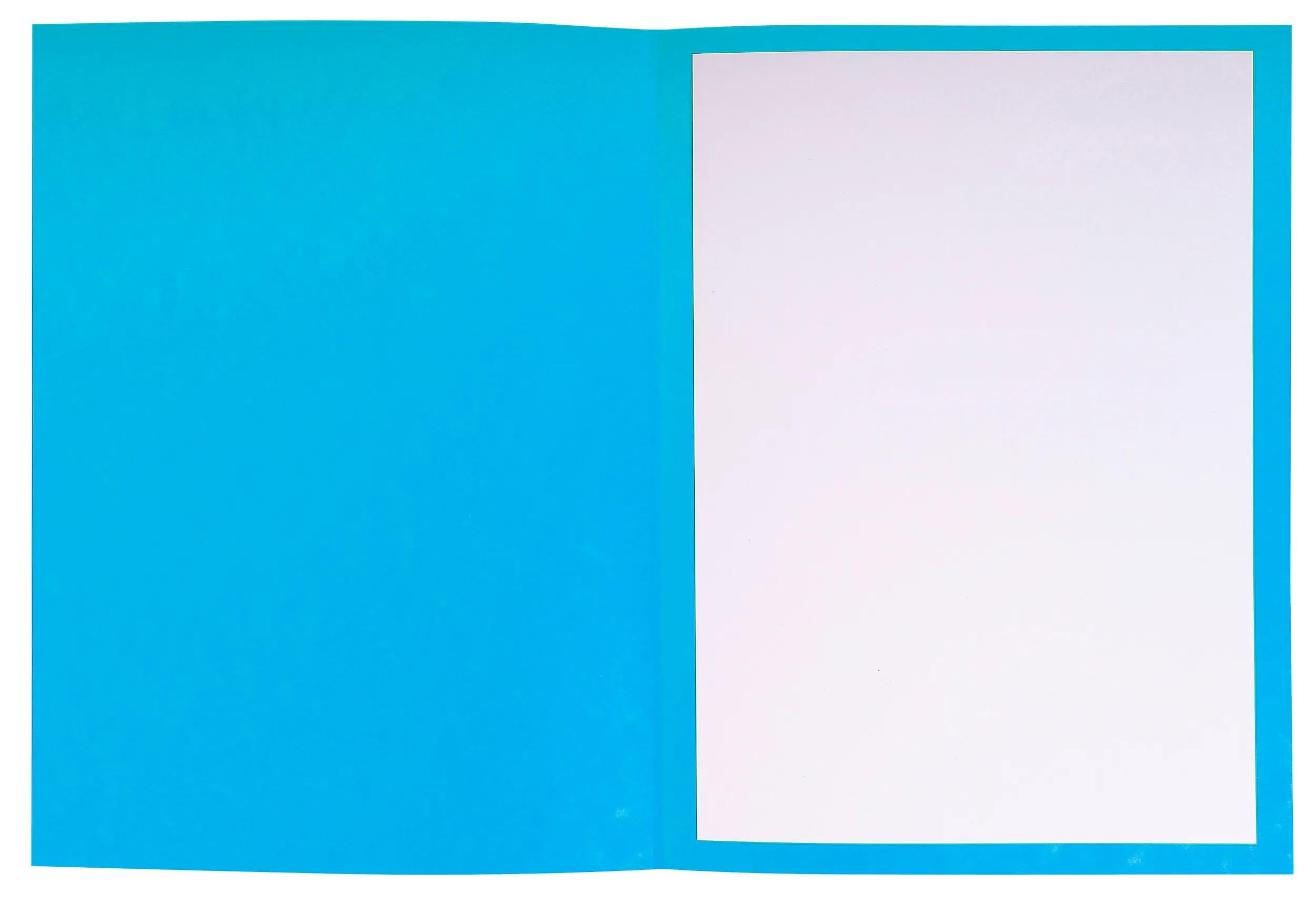 Exacompta - Rif. 220102E - Cartone da 5 confezioni da 25 cartelle di difesa "Per/Contro", in carta lucida, dimensioni 25 x 32 cm, per documenti in formato A4, colore turchese