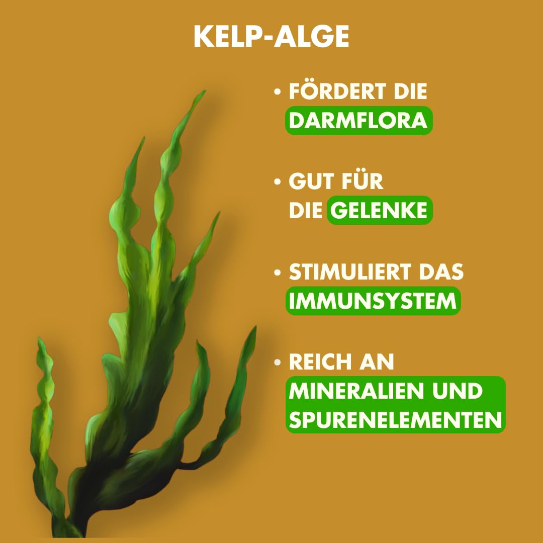 Irish Pure Sucha karma dla dorosłych | 12 kg | kurczak z algami kelp i warzywami | wysoka zawartość mięsa | nie zawiera zbóż, wrażliwa | sucha karma dla psów | karma dla wszystkich ras