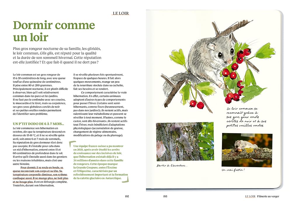 Le doryphore n'aime que les patates - 60 chroniques de végétaux, d'insectes et autres petites bestioles du jardin