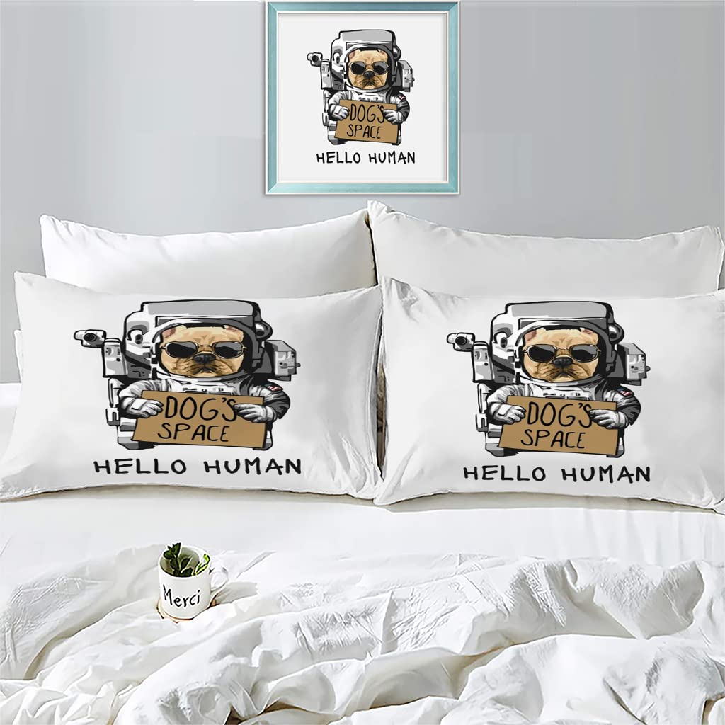 Set Copripiumino Una Piazza e Mezza Ragazzo Bulldog Grigio Copripiumini 200x200 in Microfibra per Bambini Adulti, Set di Biancheria da Letto Matrimoniale con Cerniera 2 Federe 50x80 cm