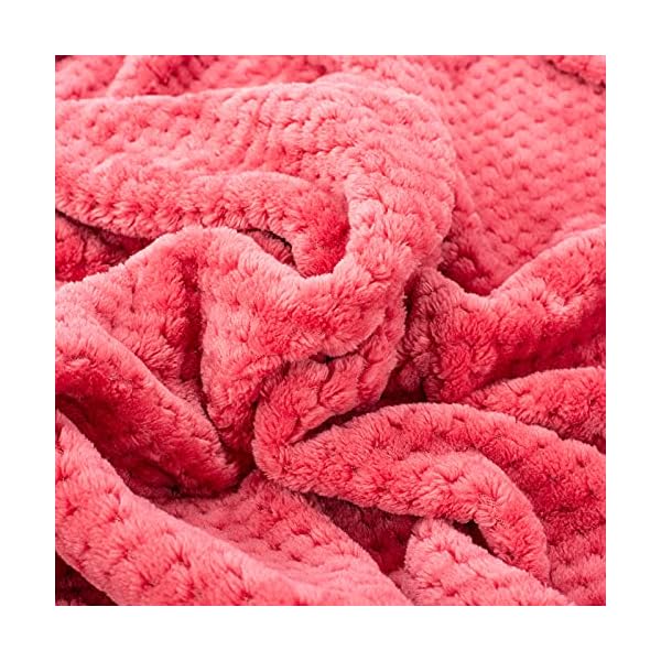 Dog Blanket or Cat Blanket or Pet Blanket, Warm Soft Fuzzy Blankets for Puppy, Small, Medium, Large Dogs or Kitten, Cats, Plush Fleece Throws for Bed, Couch, Sofa, Travel (M/32″ x 40″, Cranberry) Dog Blanket or Cat Blanket or Pet Blanket, Warm Soft Fuzzy Blankets for Puppy, Small, Medium, Large Dogs or Kitten, Cats, Plush Fleece Throws for Bed, Couch, Sofa, Travel (M/32″ x 40″, Cranberry)