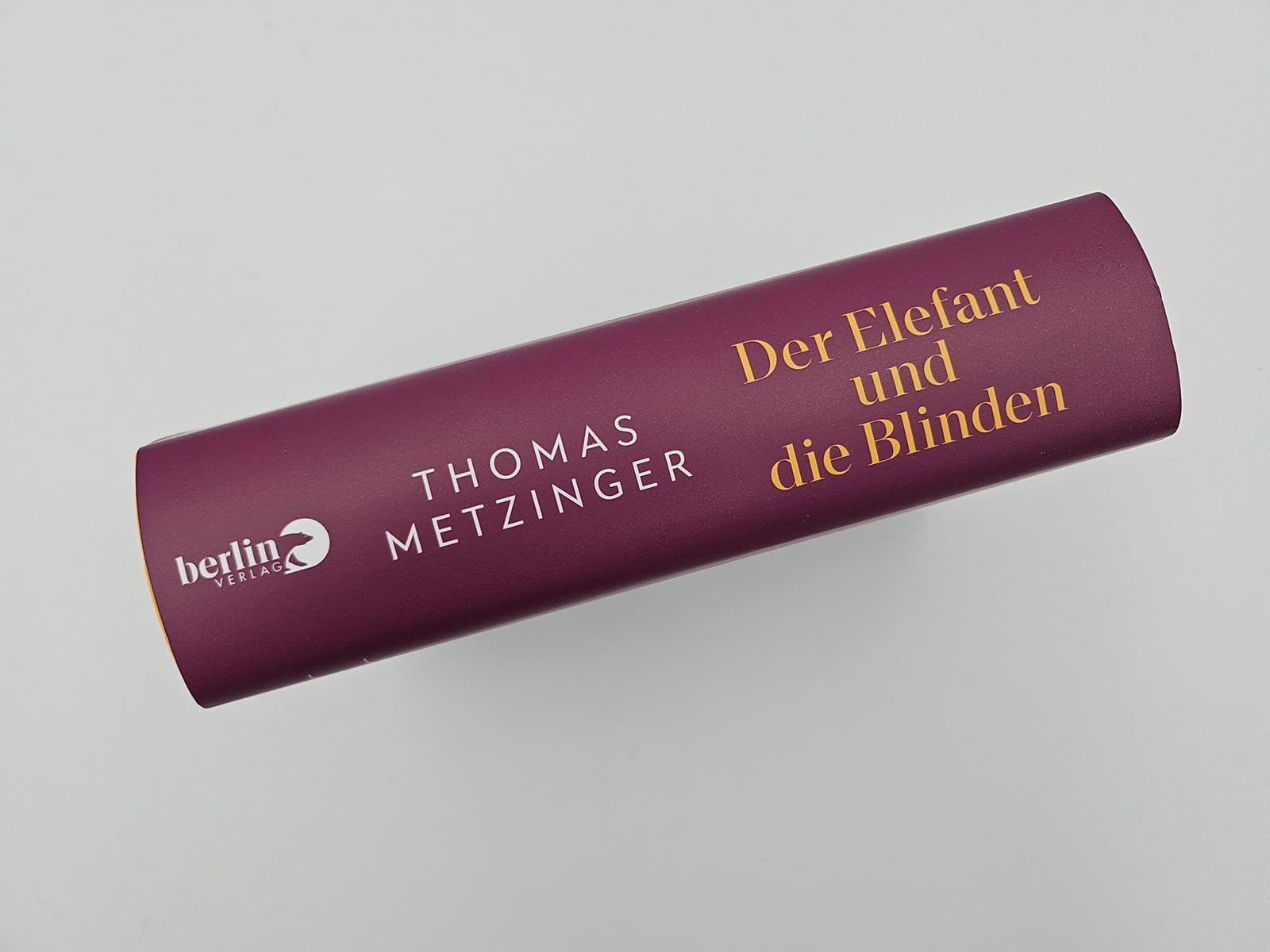 Der Elefant und die Blinden: Auf dem Weg zu einer Kultur der Bewusstheit | Mit mehr als 500 Erfahrungsberichten über das reine Bewusstsein
