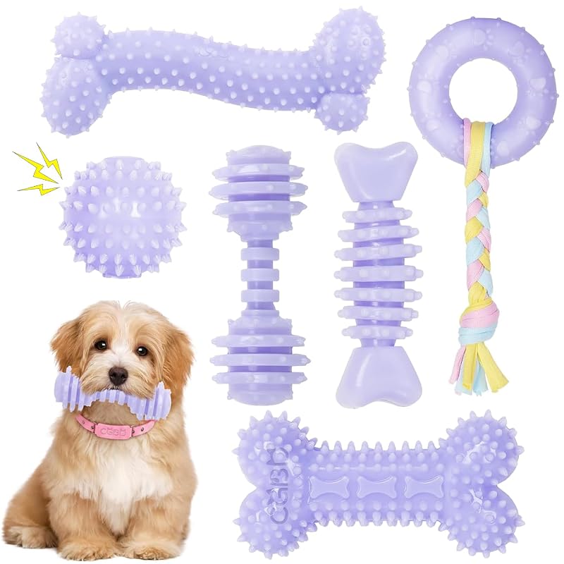 Brinquedos para Mastigar para Cães Pequenos, Borracha Natural, CGBD, Purple, Pacote com 6