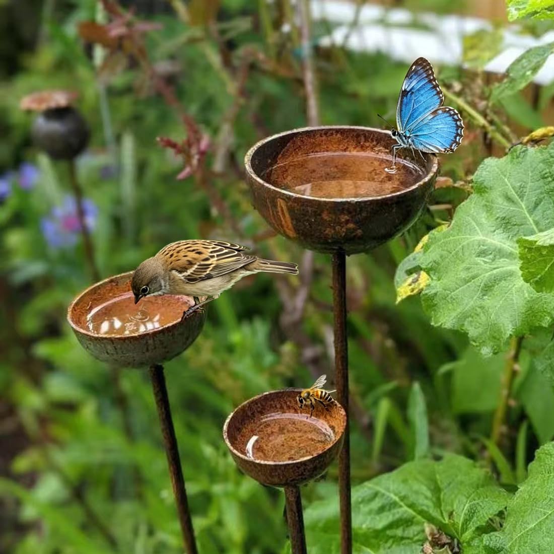 3Stück Regenfänger Gartenstecker Rost, Insektentränke Garten, Wassertränke für Vögel, Bienentränke für den Garten, Wassertränke für Vögel, Metall Gartendeko Rost für Draußen 60cm