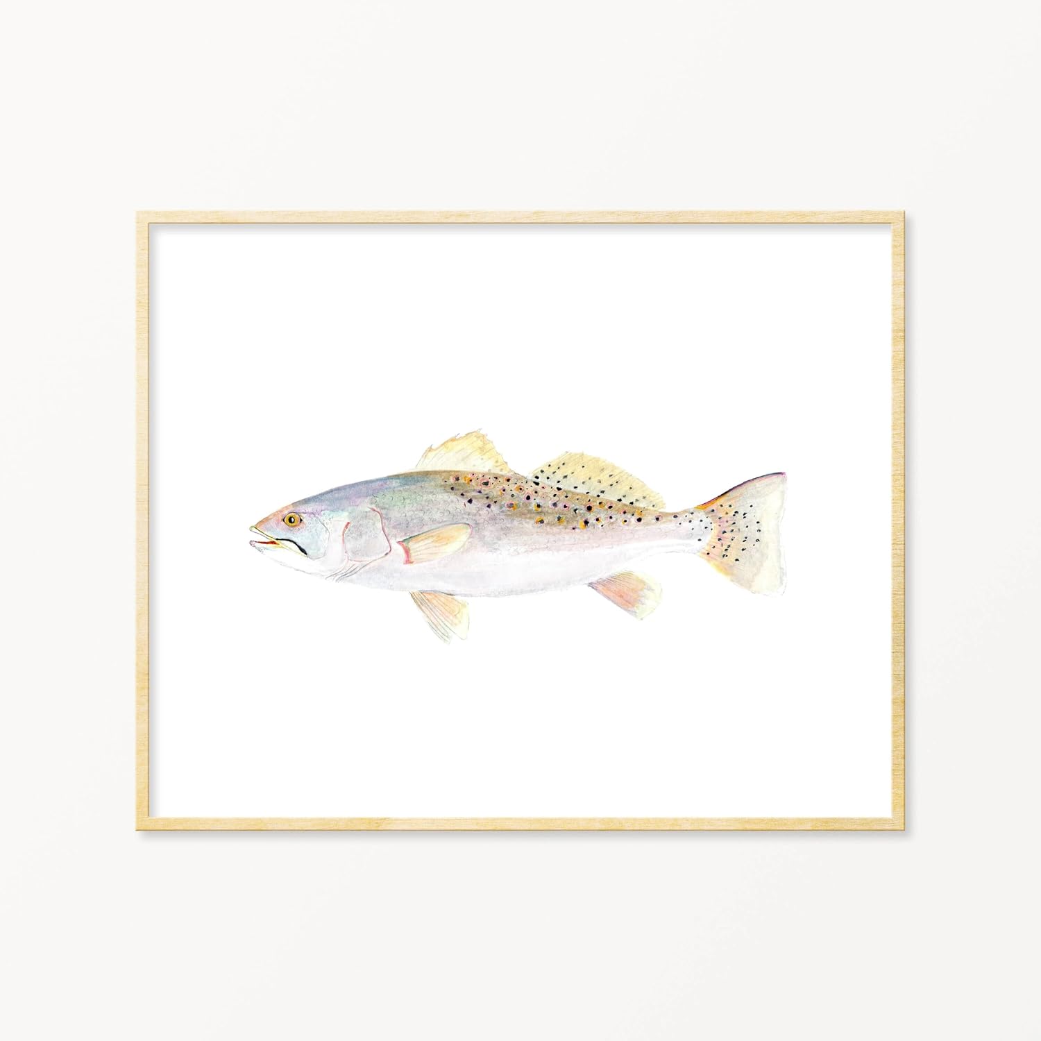 Speckled Trout Watercolor Art Print. Realistic